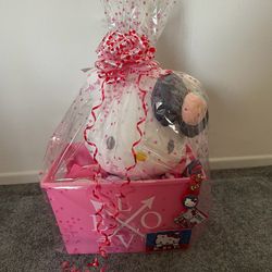 Hello Kitty Valentine’s Day Gift
