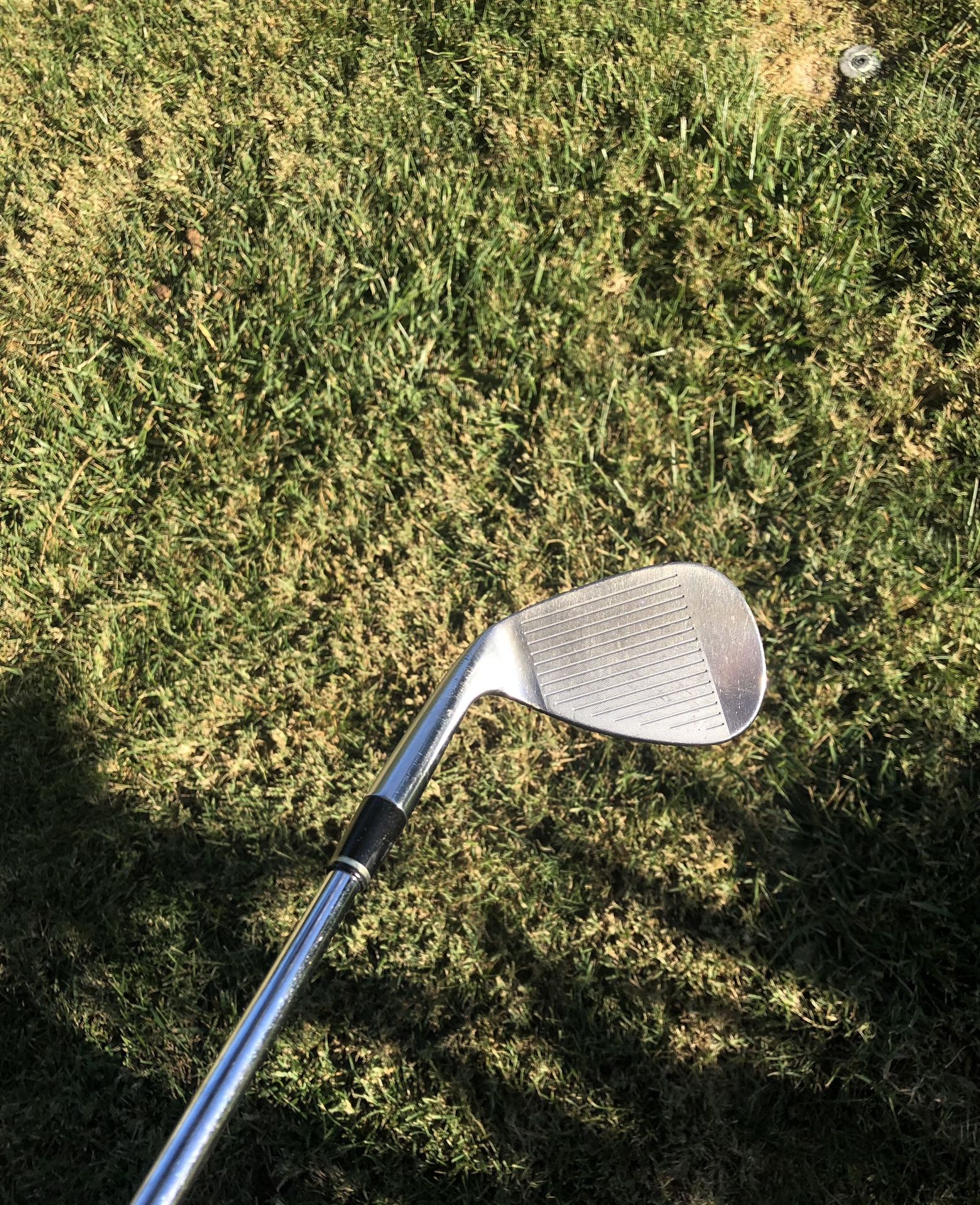 RomaRo RAY-SX 56 Degree Wedge