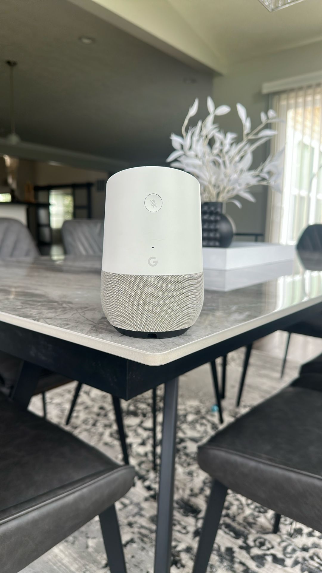 Google Assistant.
