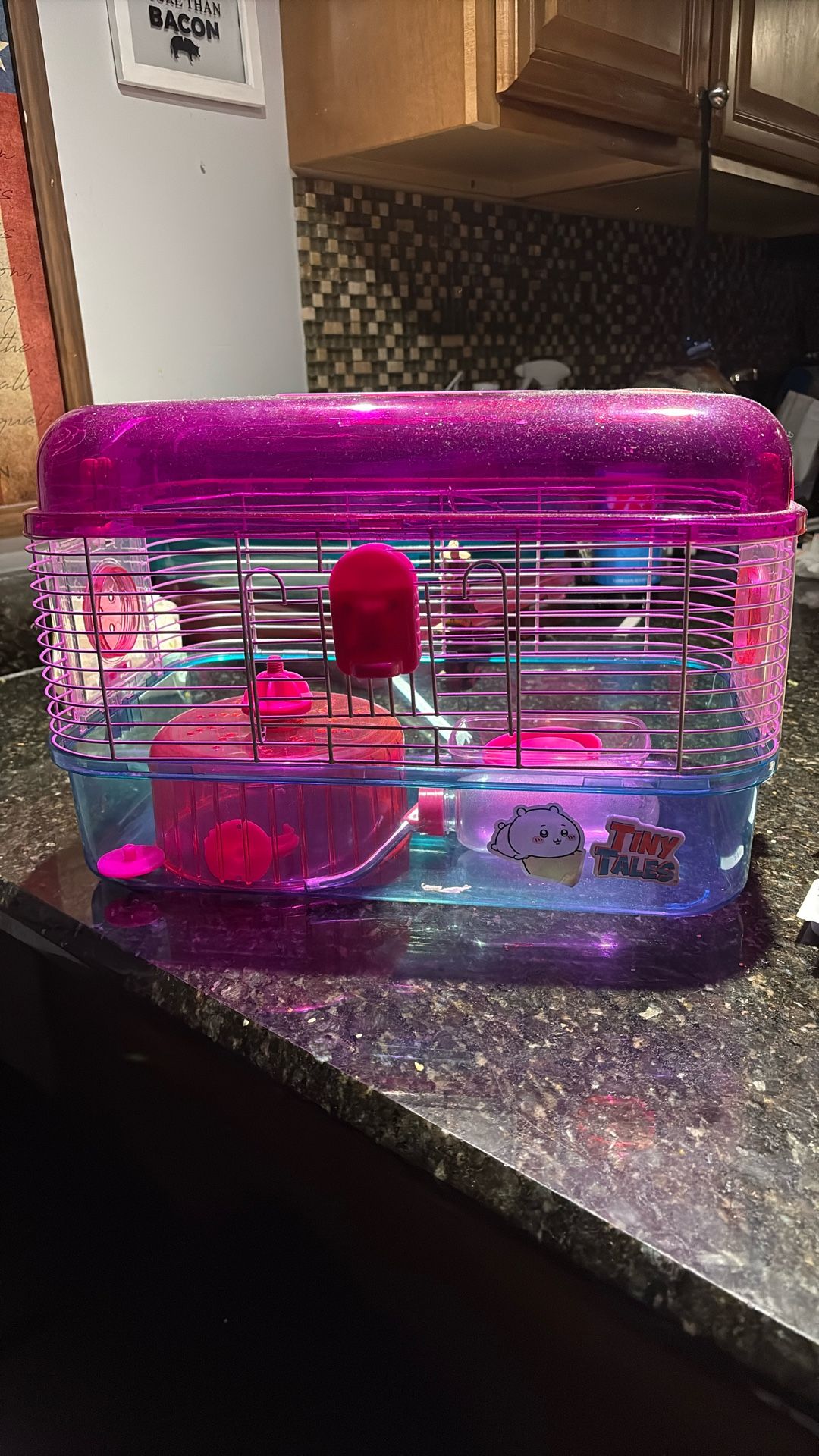 Hamster Cage (Pink & Blue)