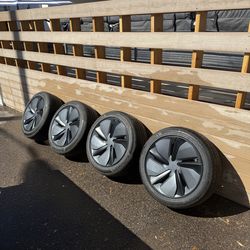 2026 Model y 255/45R19