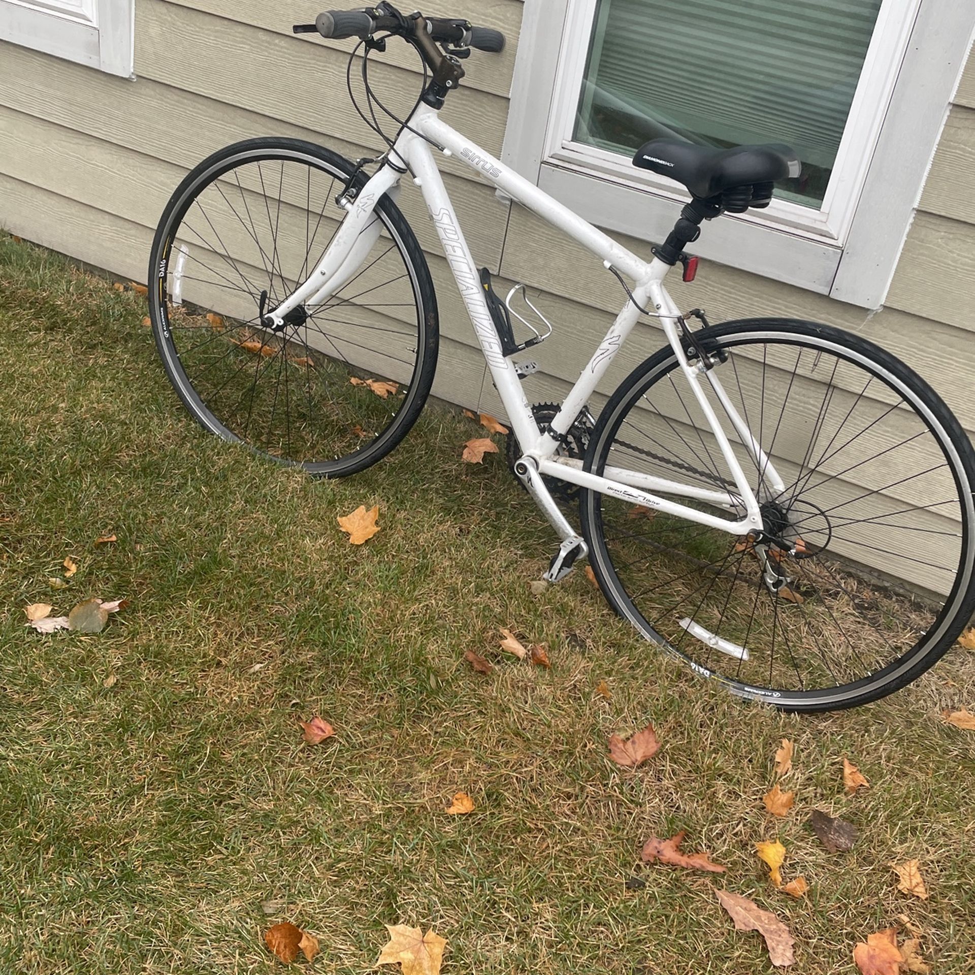 White Bicycle