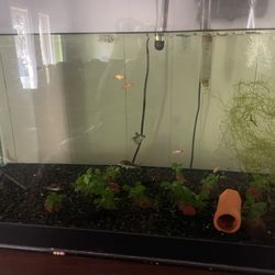 Aquarium And Stand /fish/plant