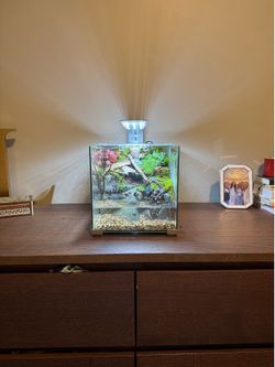 Terrarium