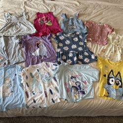 2t-3t Girl Toddler Bundle 