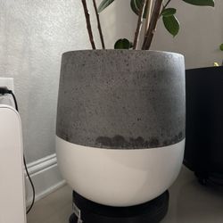 Concrete Planter Pot