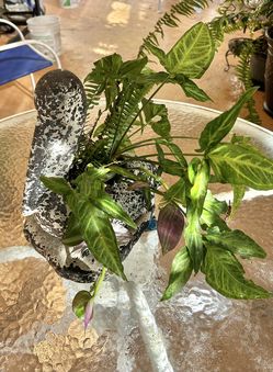 New ceramic decorative pieces in excellent conditions 