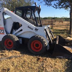 Bobcat