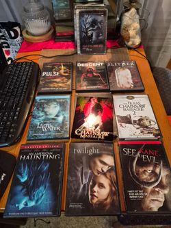 17 DVD MOVIES INCLUDING HORROR AND COMEDY