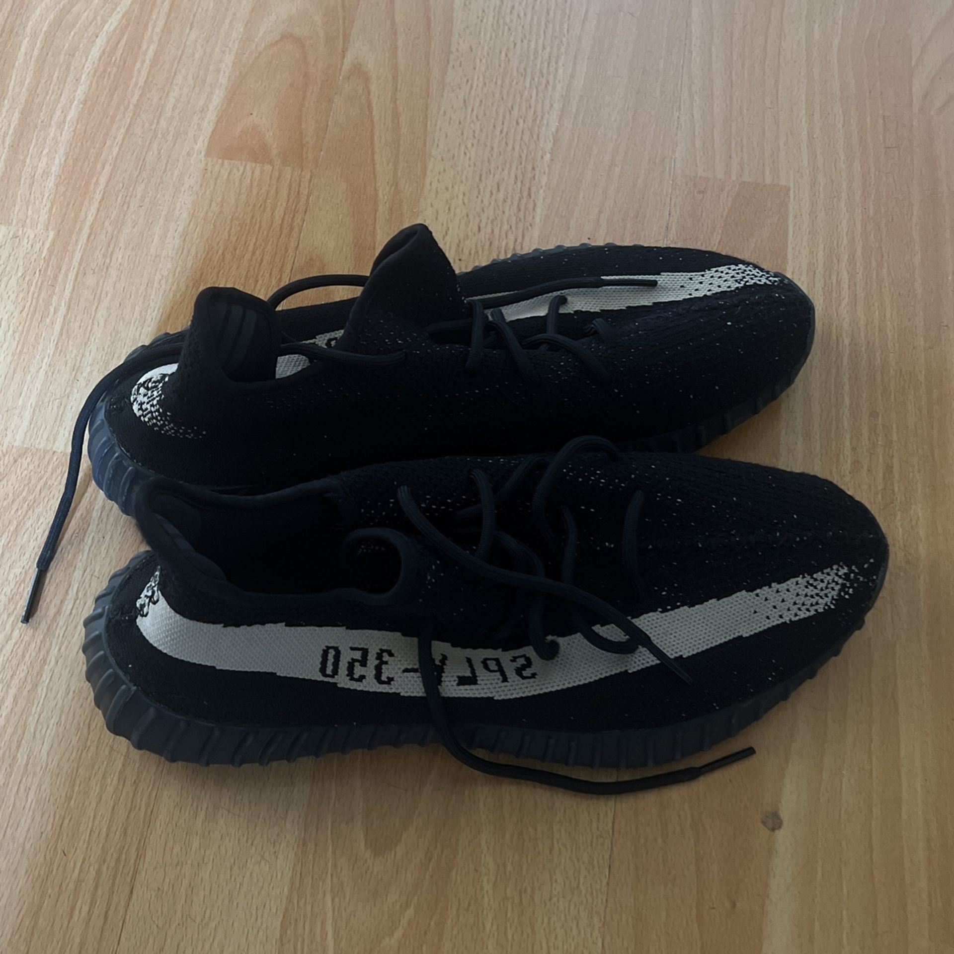 Yeezy Adidas Size US14