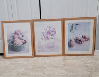 3 Beautiful 17 By 21 Inch Framed Flower Pics. (MUST SELL TODAY)