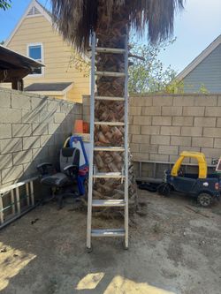 Reach ladders
