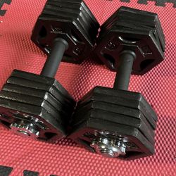 Pair of 30lb iron adjustable dumbbells $60
