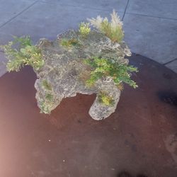 Fish Tank Decorations 