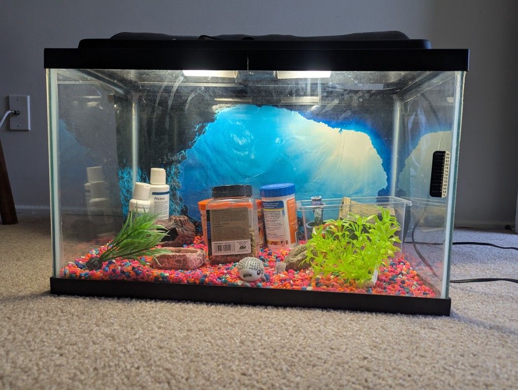Fish Tank
