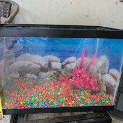 Pet Tanks (There Are Two) - 20 And 10 Gallon