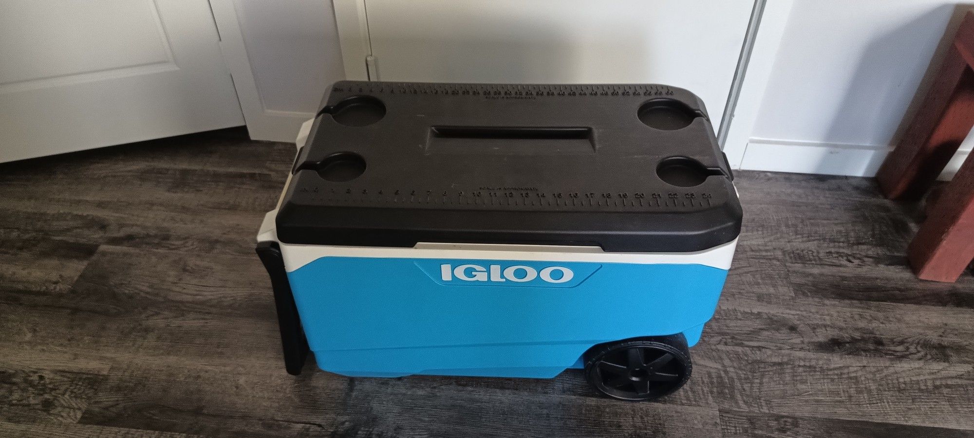 Ice Cooler with Wheels - Igloo - Large
