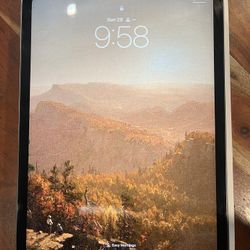 Apple iPad Pro 11-inch (3rd Gen) 256GB