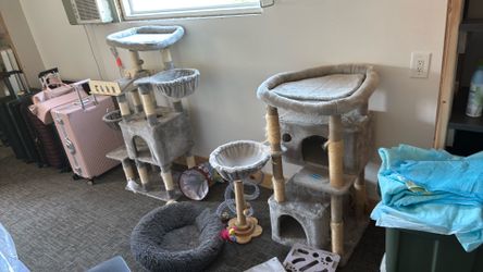 2 FREE cat trees