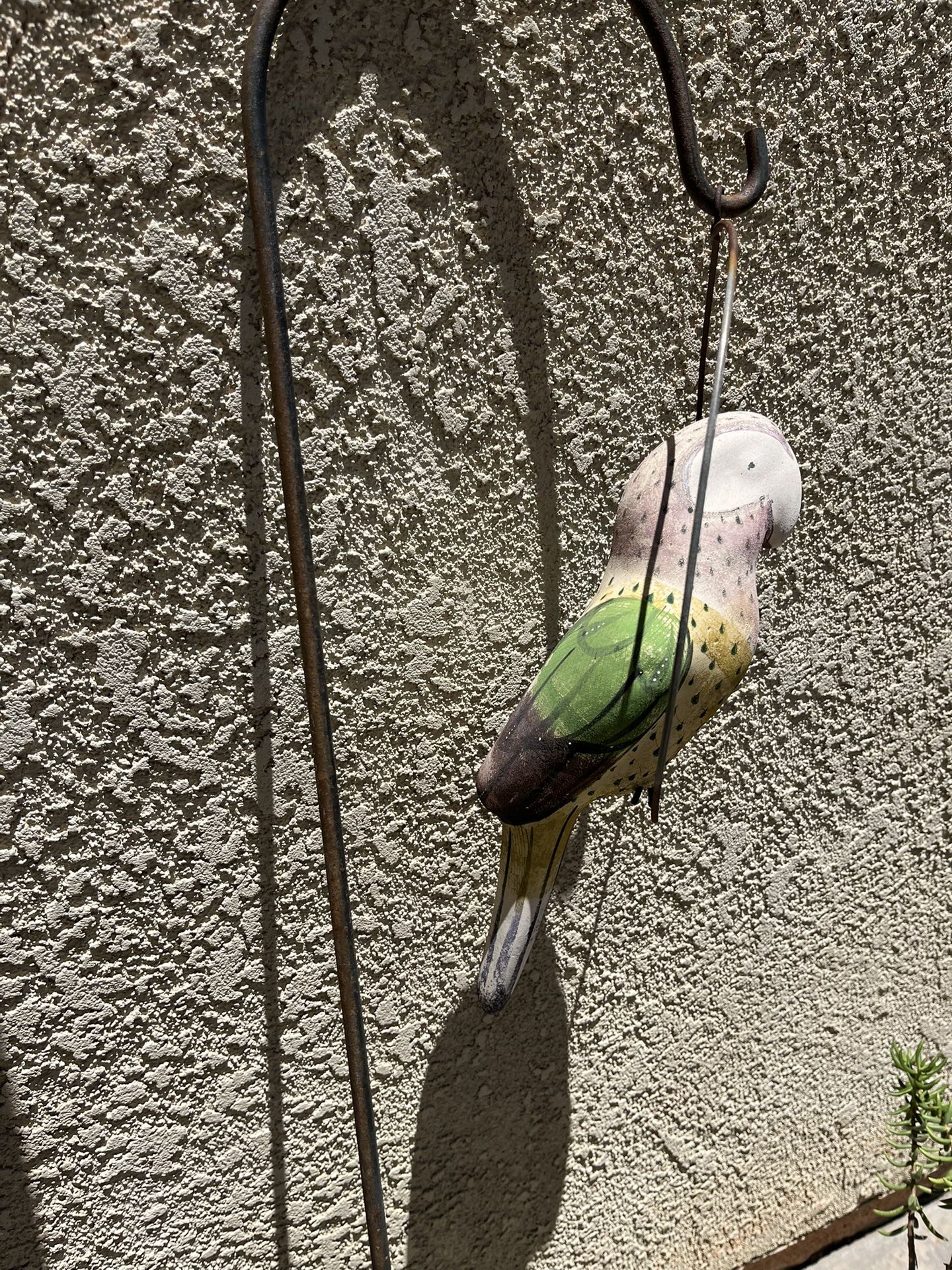 Old Parrot On A Hook.