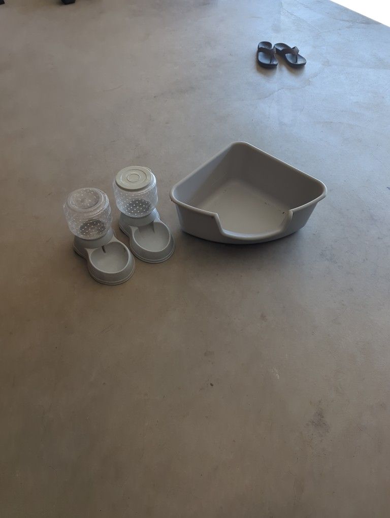 Cat Supplies