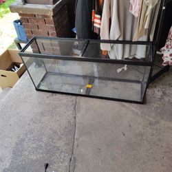 Fish Tanks 