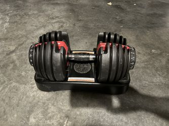 BoFlex Adjustable Dumbbell