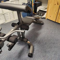 Gold Gym Workout Bench