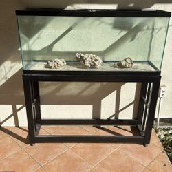 Beautiful 55 Gallon Fish Tank With Metal Stand 