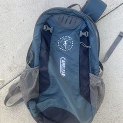 Dave Matthew’s Band CamelBak Hydration Backpack ( NEW)