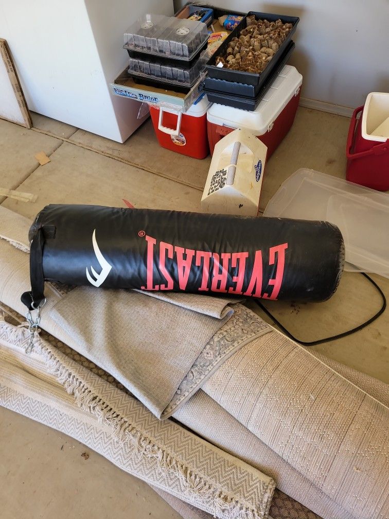 EverLast Punching Bag