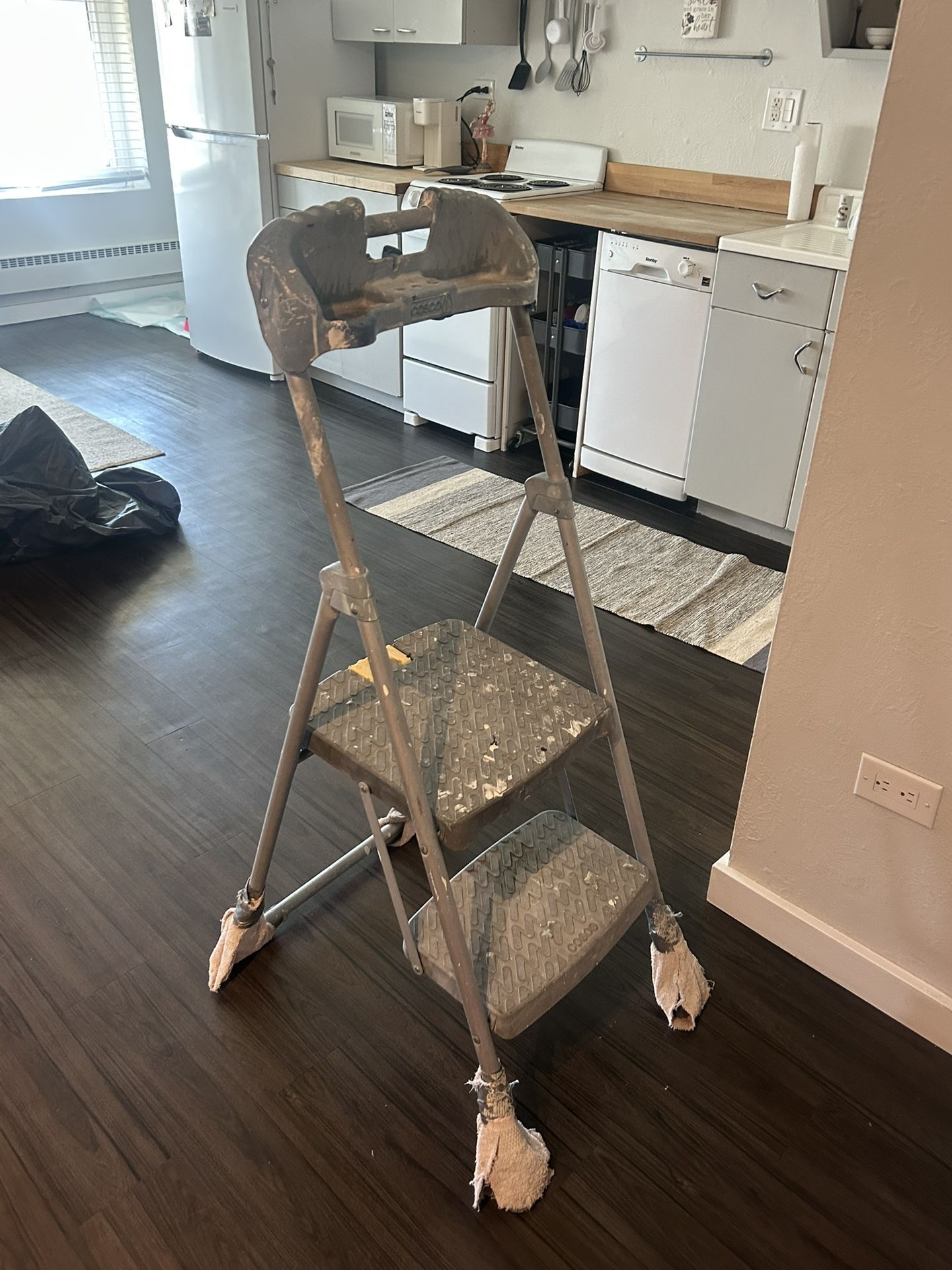 Cosco Ladder