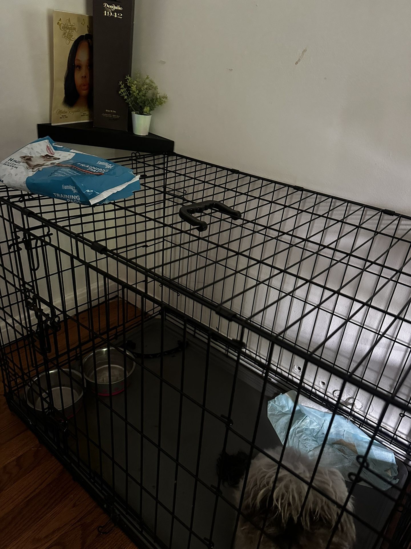 Dog Cage