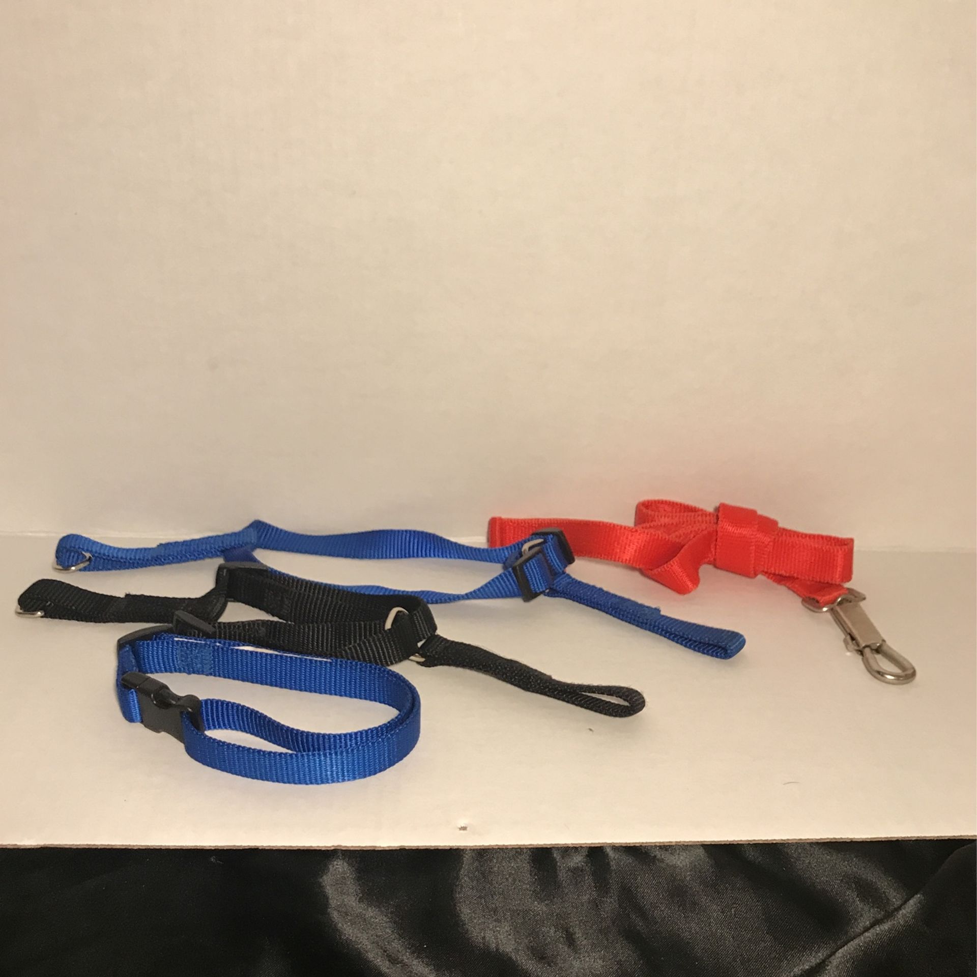 Dog Leash N Collars