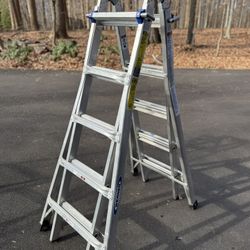 Werner 22’ Ladder 