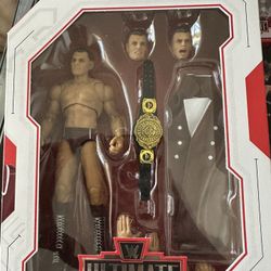 Wwe Toy 
