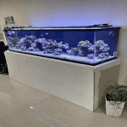example serve Full Aquarium Tank - Spacious & Eye-Catching