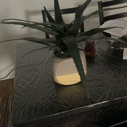 Fake Plant 