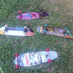 4 Skate Board 
