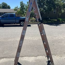 Werner    Ladder 