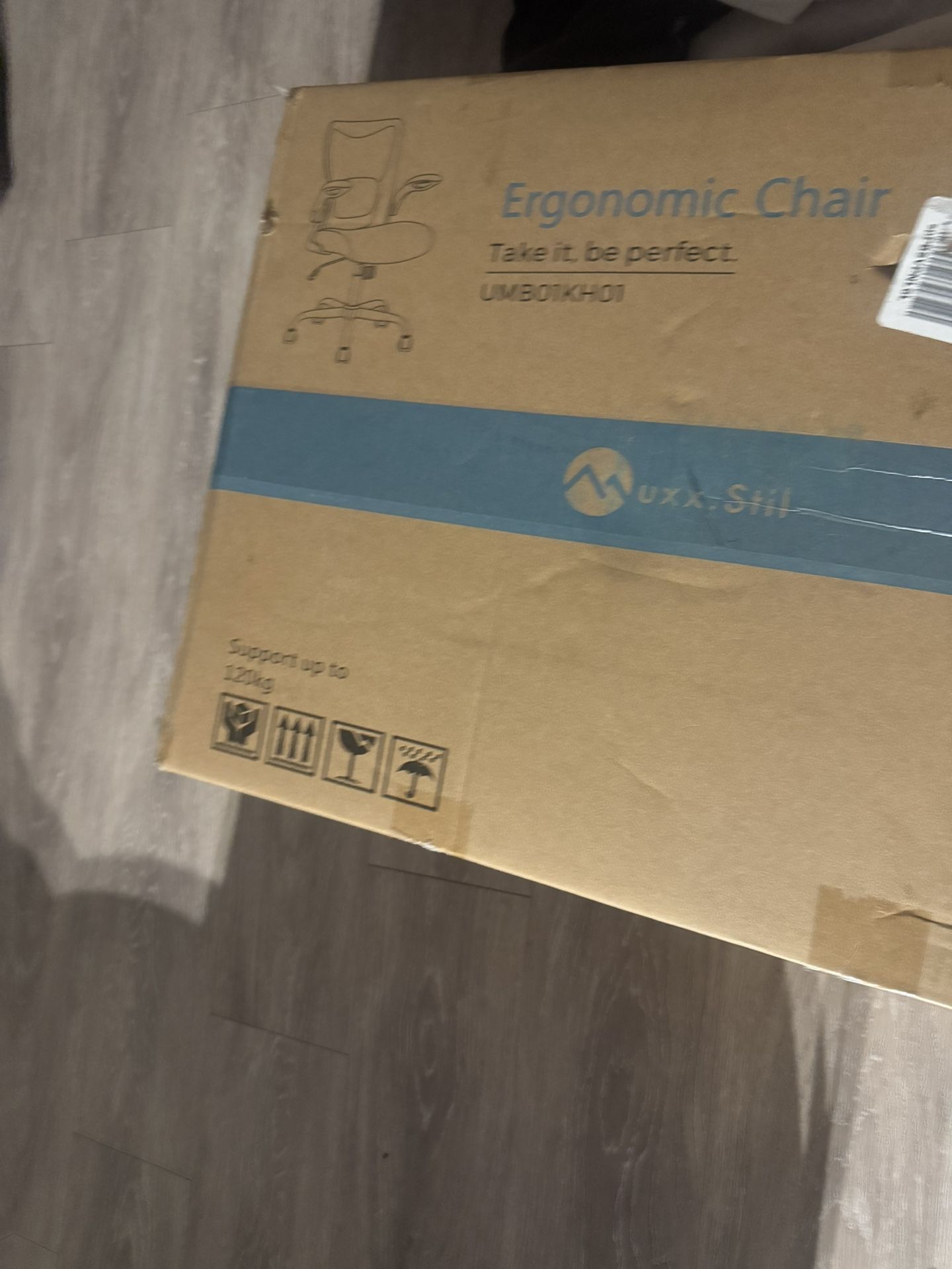 Ergonomic Chair Office Chair $200