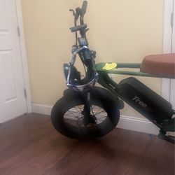 Electric Bike 