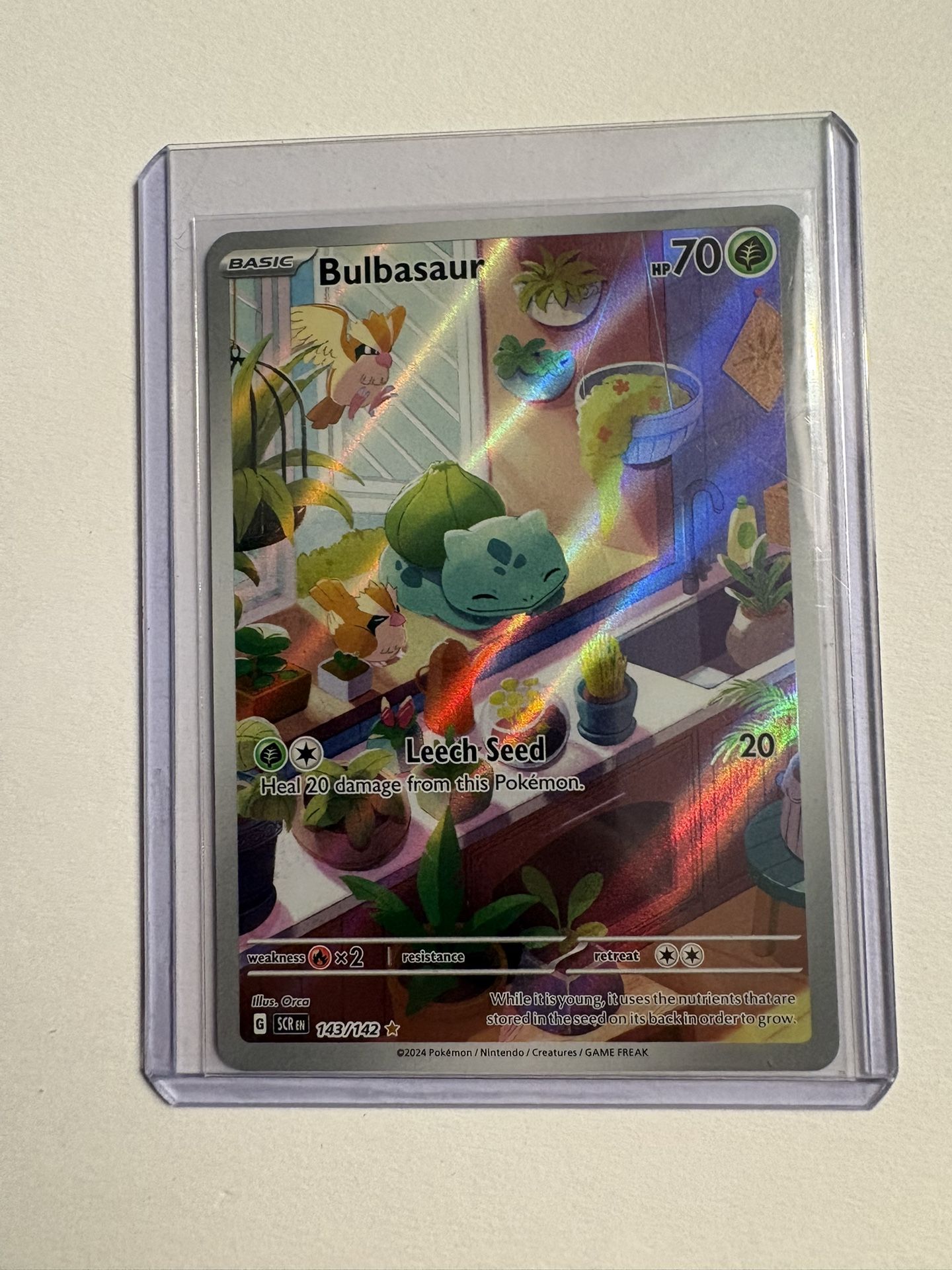 Pokemon TCG Bulbasaur