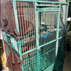 Huge Parot Cage 