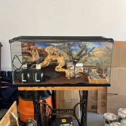 Bearded Dragon Aquarium 