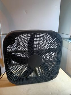 Fans