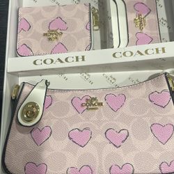 Set Bolsa, Wallet Y Tarjetero $60.00