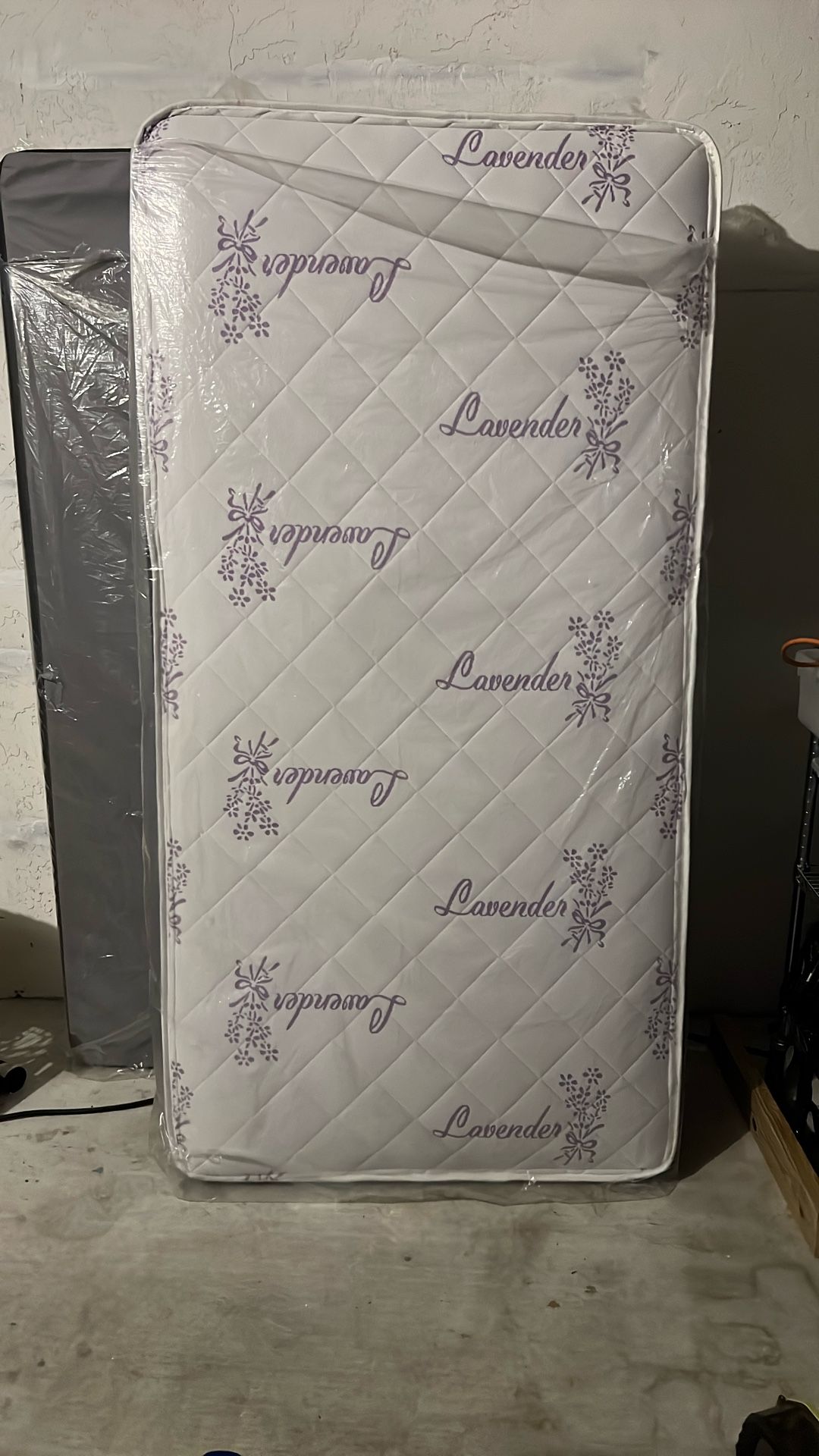 Twin Sized Mattress And Box Spring