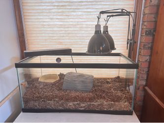 Terrarium Reptile Tank, 50 gal.
