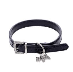 NWT pet leather collar